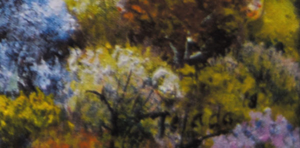 Emilio-Alvarez-Tejada-Lote.2262800010d